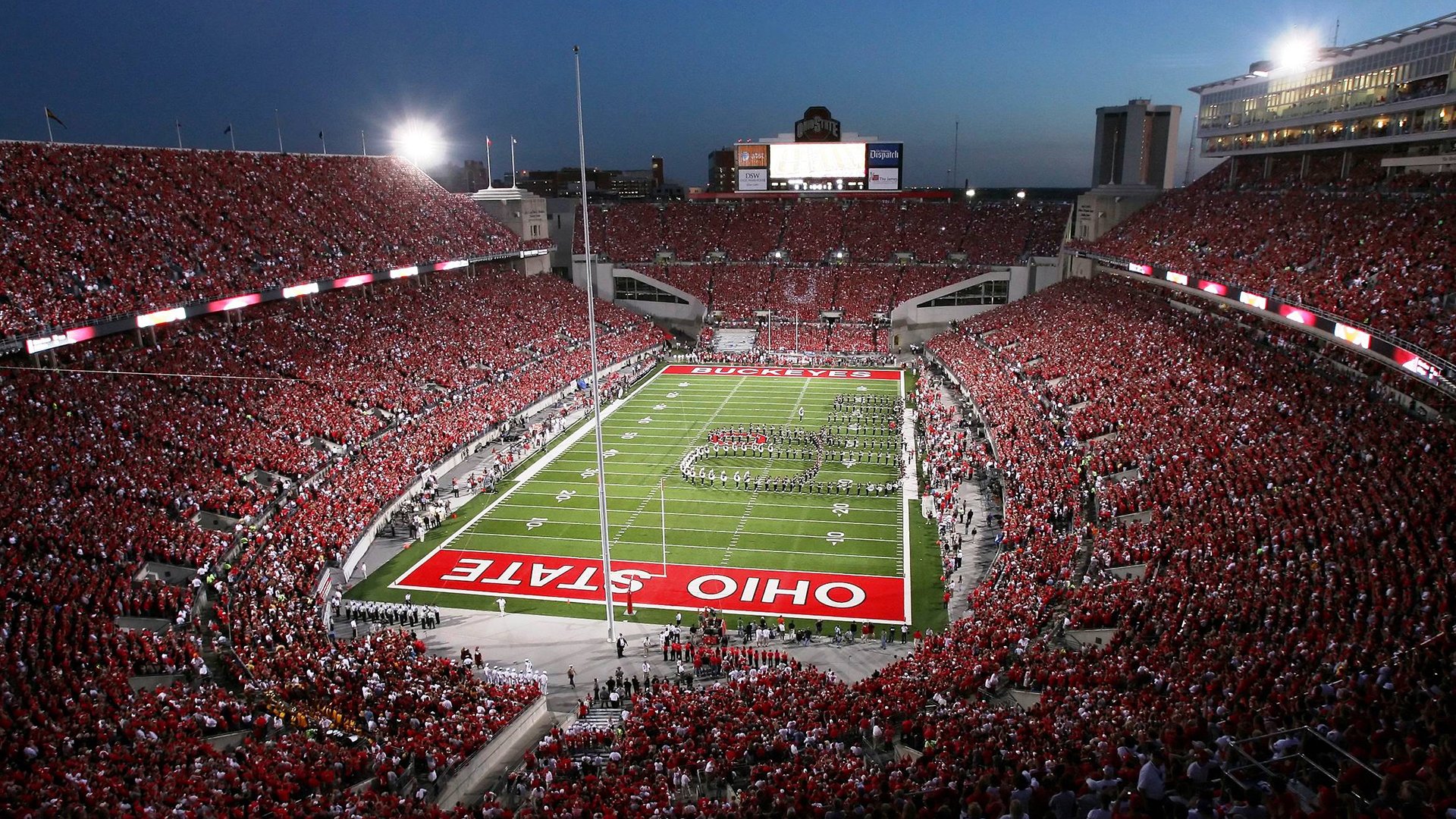 “美洲狮队在橄榄球冠军赛中的惊艳表现”