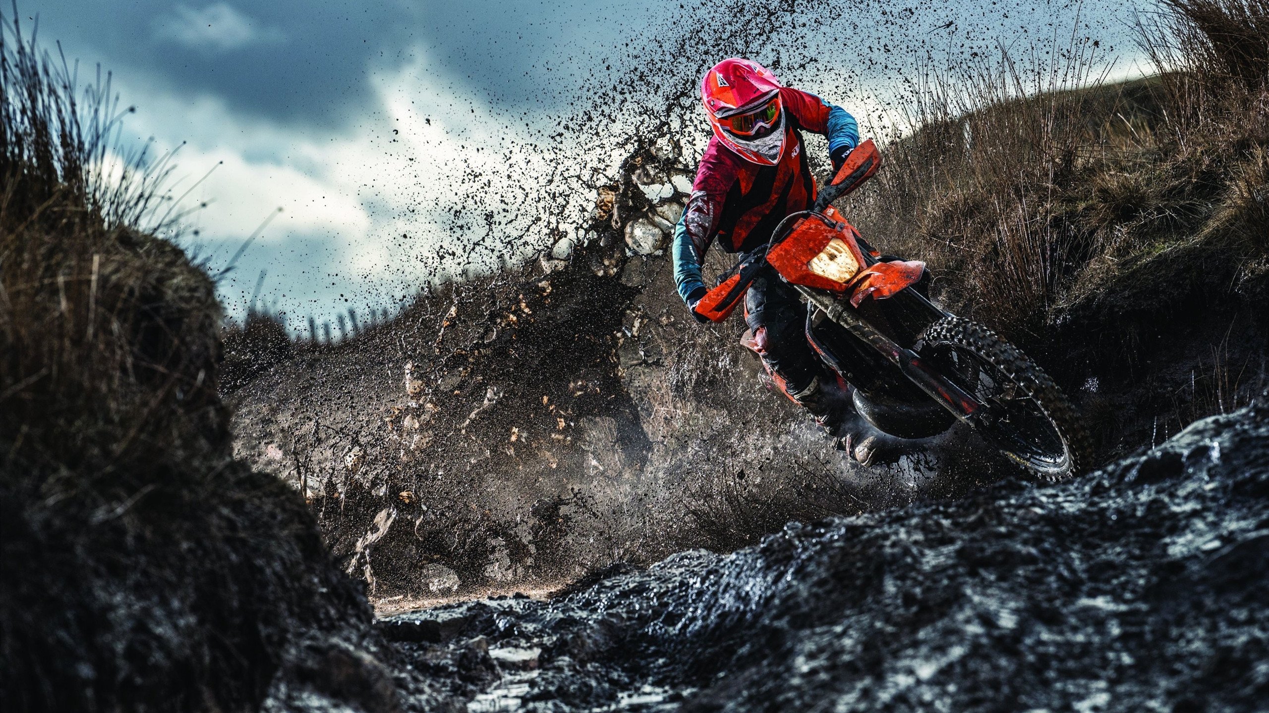 “美洲狮队在橄榄球冠军赛中的惊艳表现”