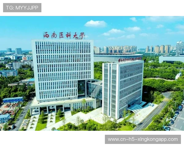 体育与城市建设的共生关系展望